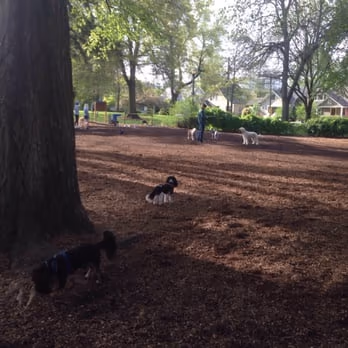 Dog Park at Wallace Park photo 1